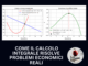 come il calcolo integrale risolve problemi economici reali