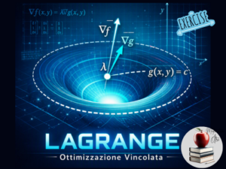 LAGRANGE – Ottimizzazione Vincolata