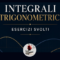 Integrali con 1 ± cos x: formule, sostituzioni ed esercizi svolti
